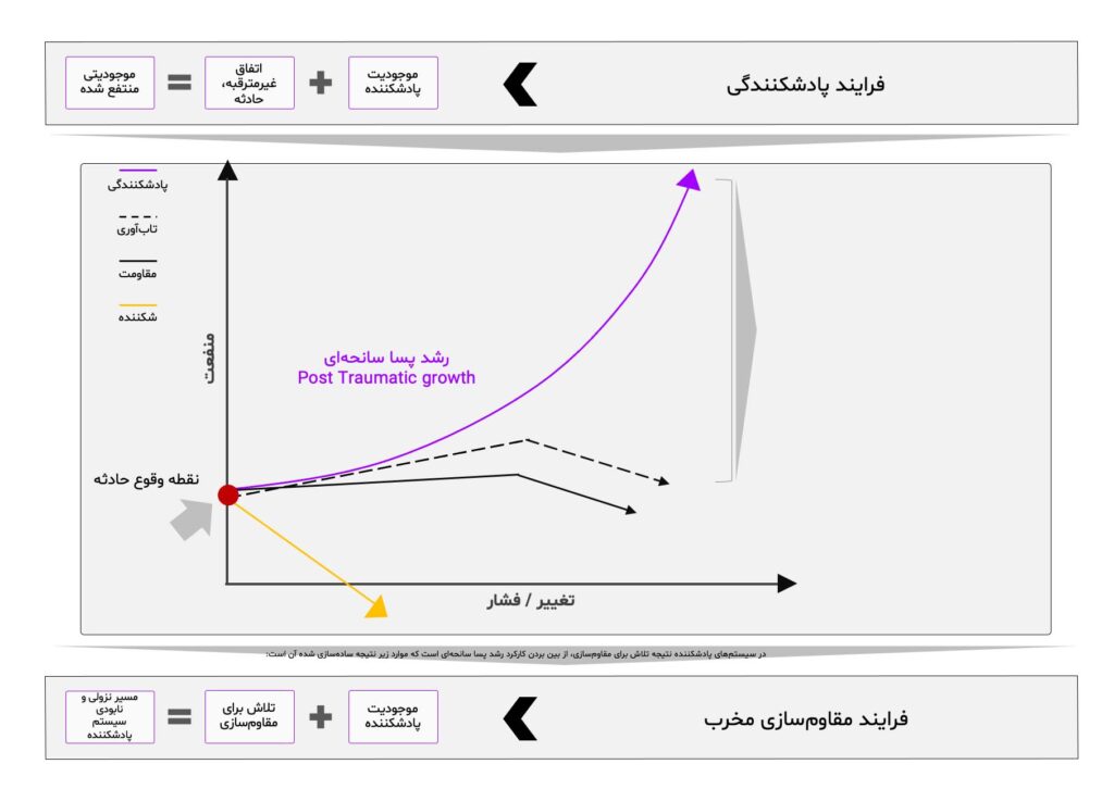 پادشکنندگی بررسی و فرآیند