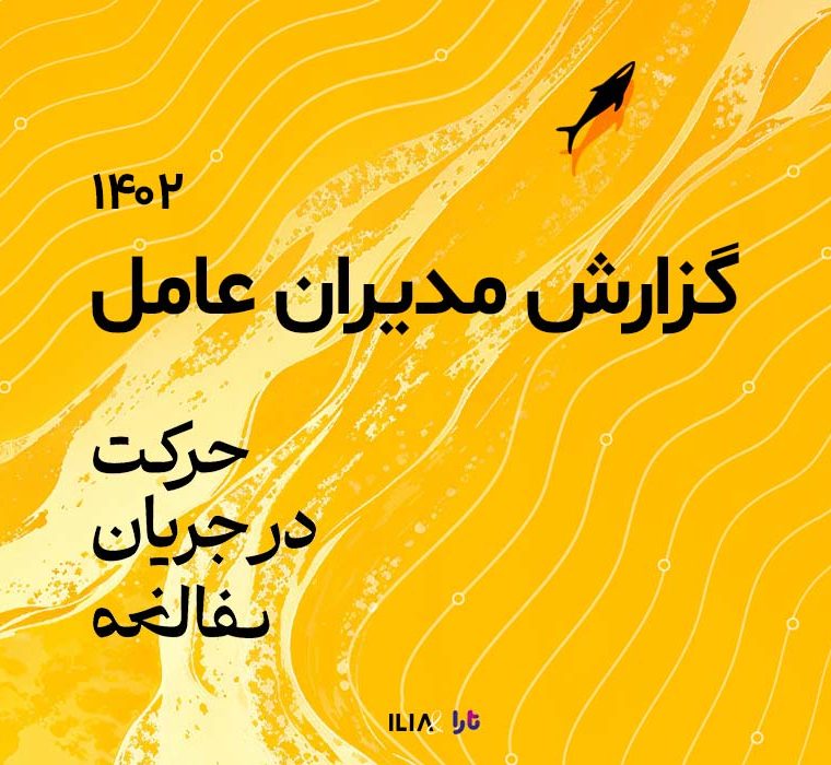 گزارش مدیران عامل ۱۴۰۲