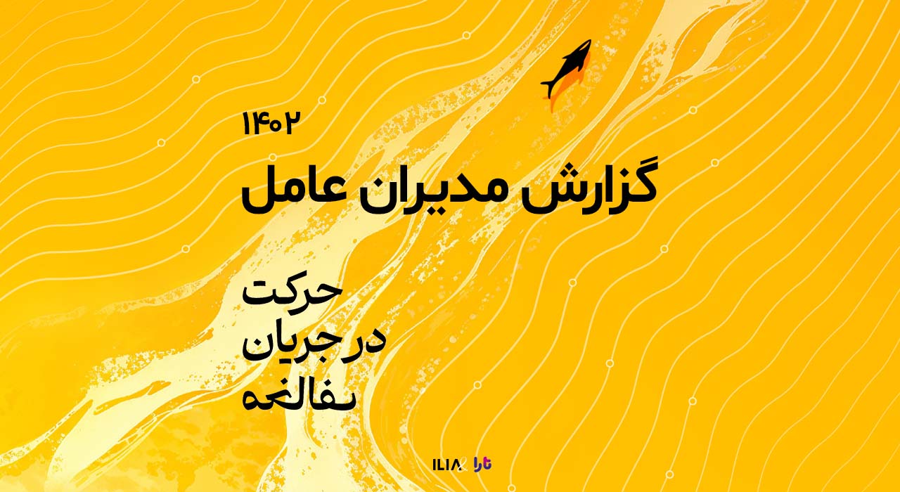 گزارش مدیران عامل ۱۴۰۲