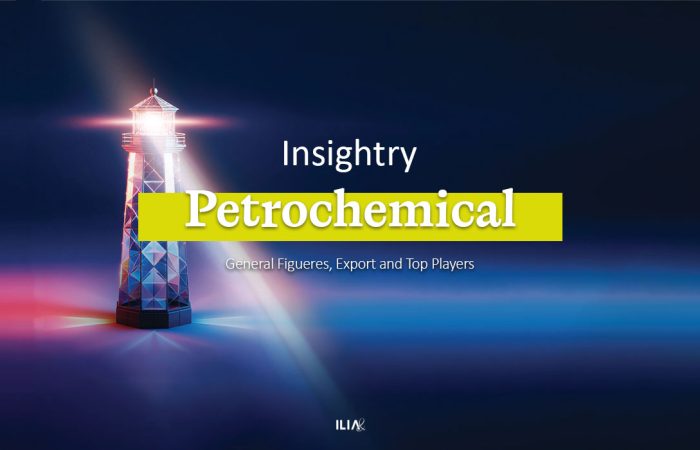 Iran's Petrochemical Industry