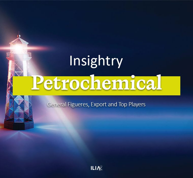 Iran's Petrochemical Industry